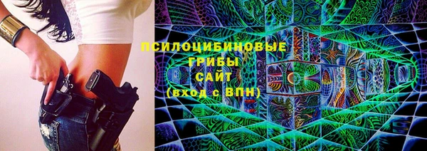 СК Аркадак