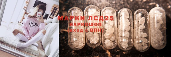 СК Аркадак